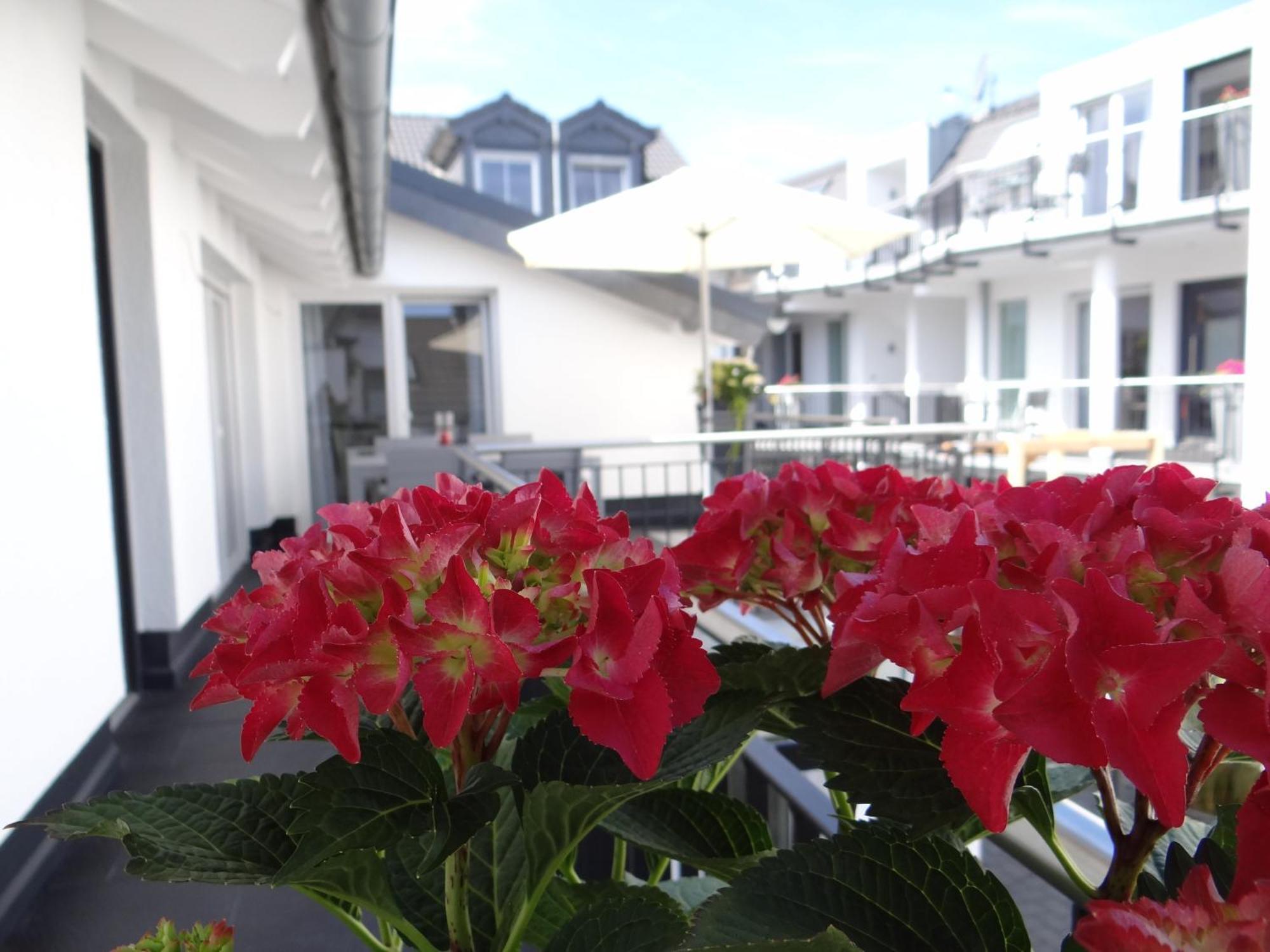 Ferienapartments Am Steinfelder Hof Bad Neuenahr-Ahrweiler Kamer foto